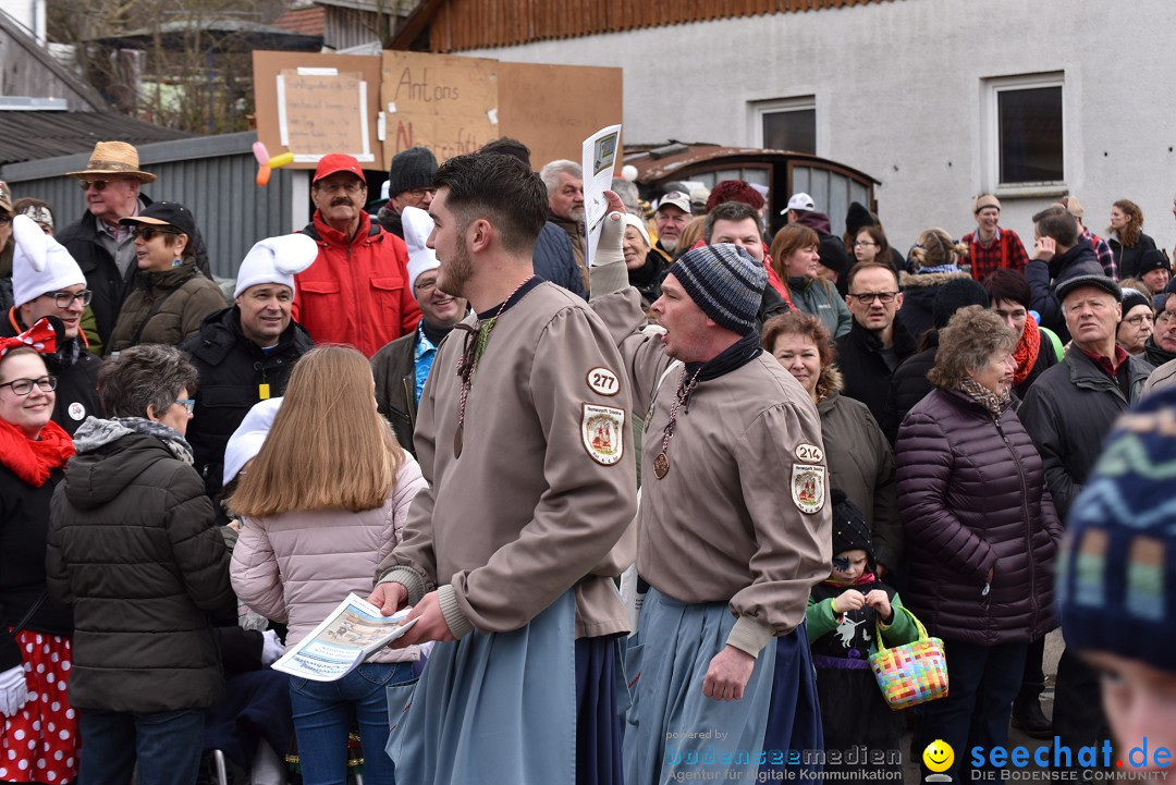 Fasnetsumzug: Zell - Rot an der Rot, 02.03.2019