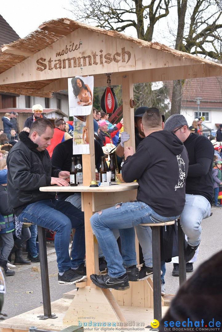 Fasnetsumzug: Zell - Rot an der Rot, 02.03.2019