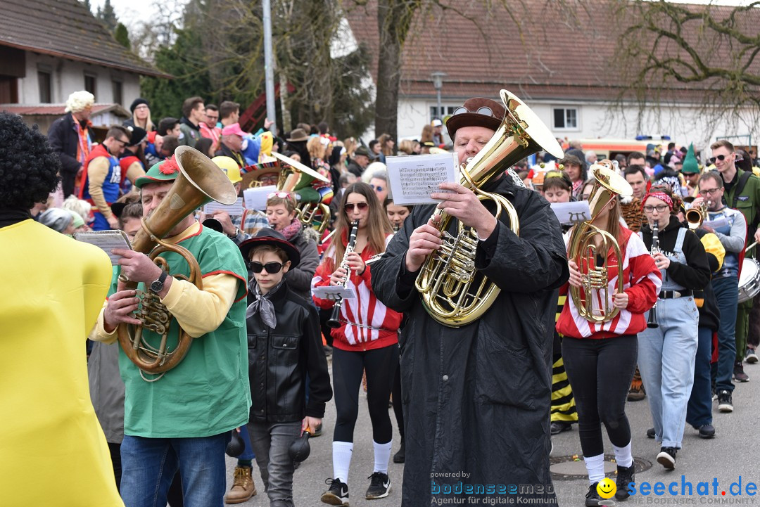 Fasnetsumzug: Zell - Rot an der Rot, 02.03.2019