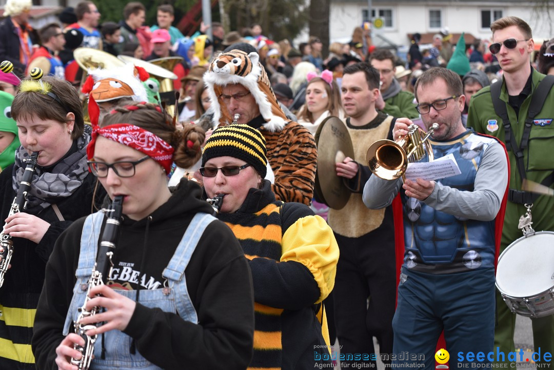 Fasnetsumzug: Zell - Rot an der Rot, 02.03.2019