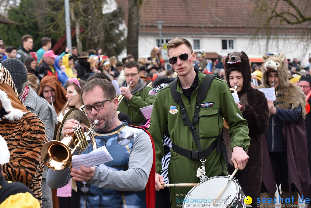 Fasnetsumzug: Zell - Rot an der Rot, 02.03.2019