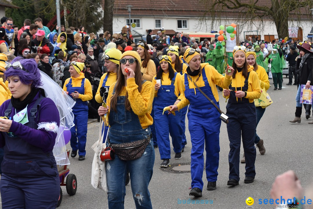 Fasnetsumzug: Zell - Rot an der Rot, 02.03.2019