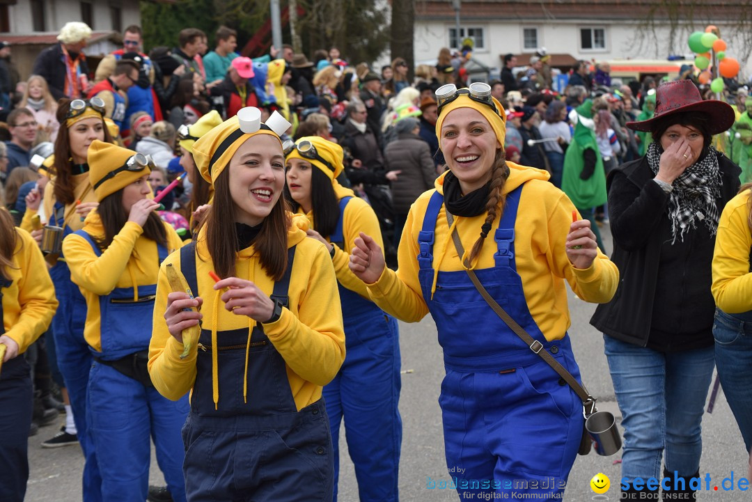 Fasnetsumzug: Zell - Rot an der Rot, 02.03.2019