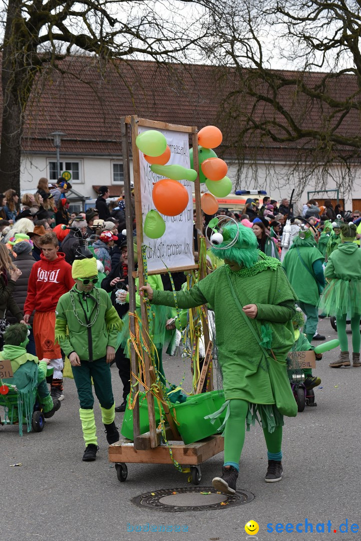 Fasnetsumzug: Zell - Rot an der Rot, 02.03.2019