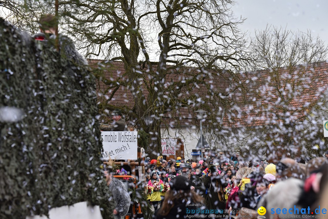 Fasnetsumzug: Zell - Rot an der Rot, 02.03.2019