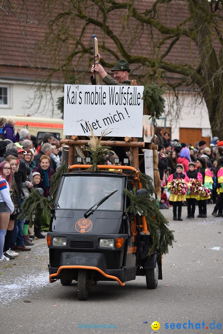 Fasnetsumzug: Zell - Rot an der Rot, 02.03.2019