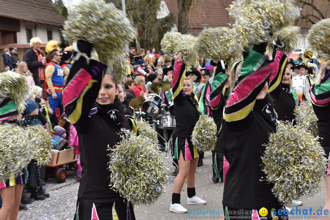 Fasnetsumzug: Zell - Rot an der Rot, 02.03.2019