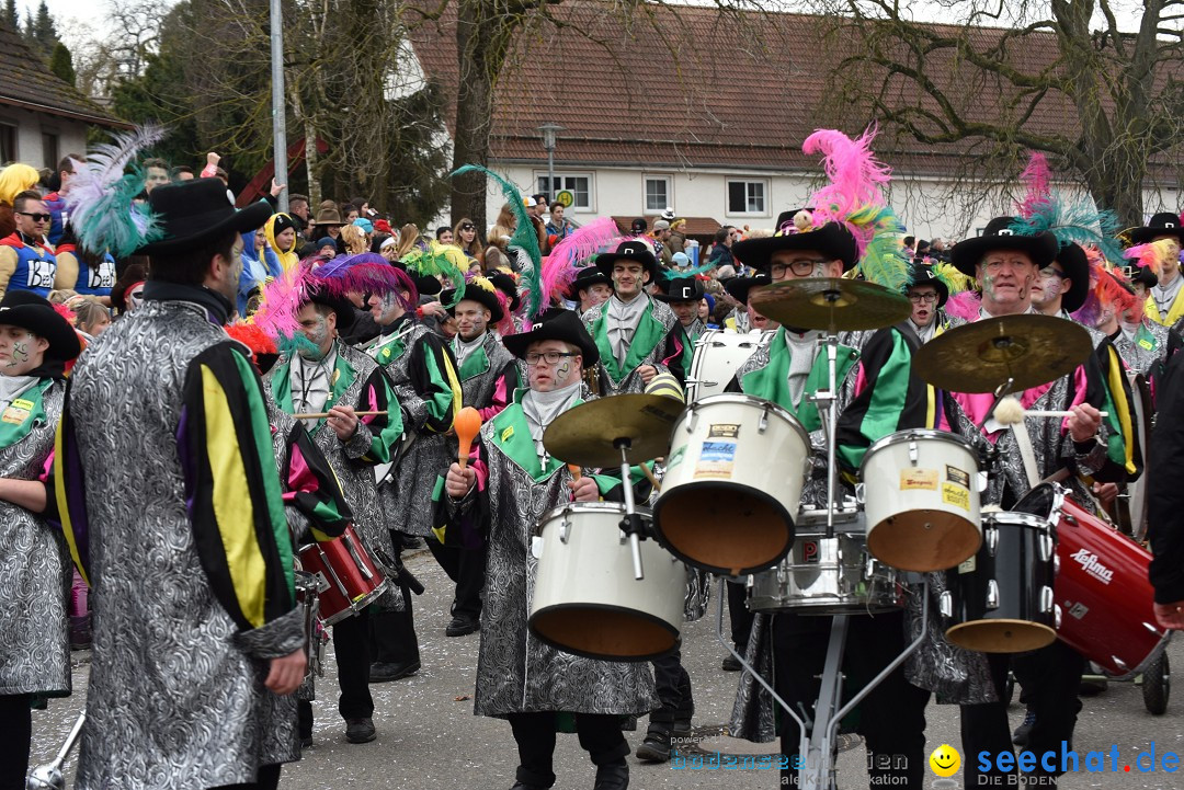 Fasnetsumzug: Zell - Rot an der Rot, 02.03.2019