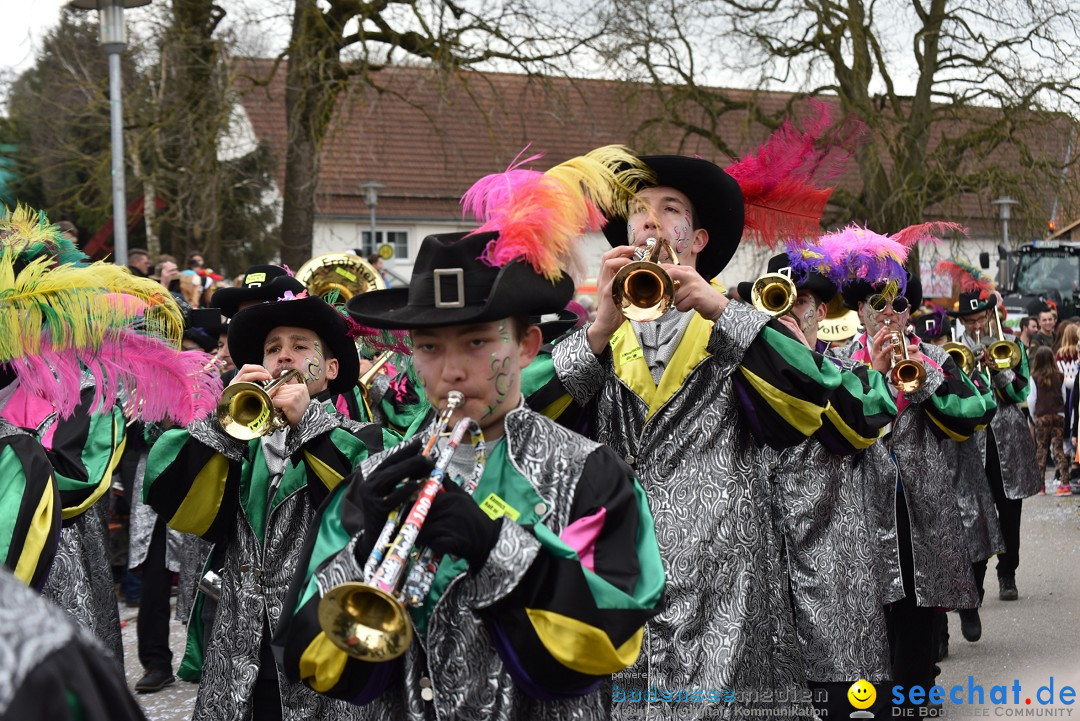 Fasnetsumzug: Zell - Rot an der Rot, 02.03.2019