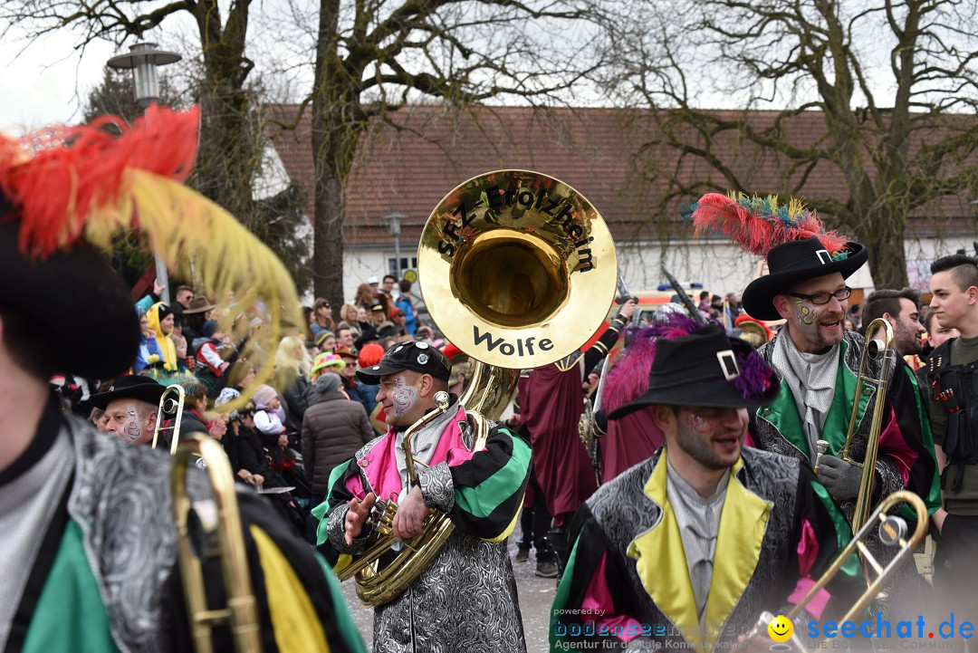 Fasnetsumzug: Zell - Rot an der Rot, 02.03.2019