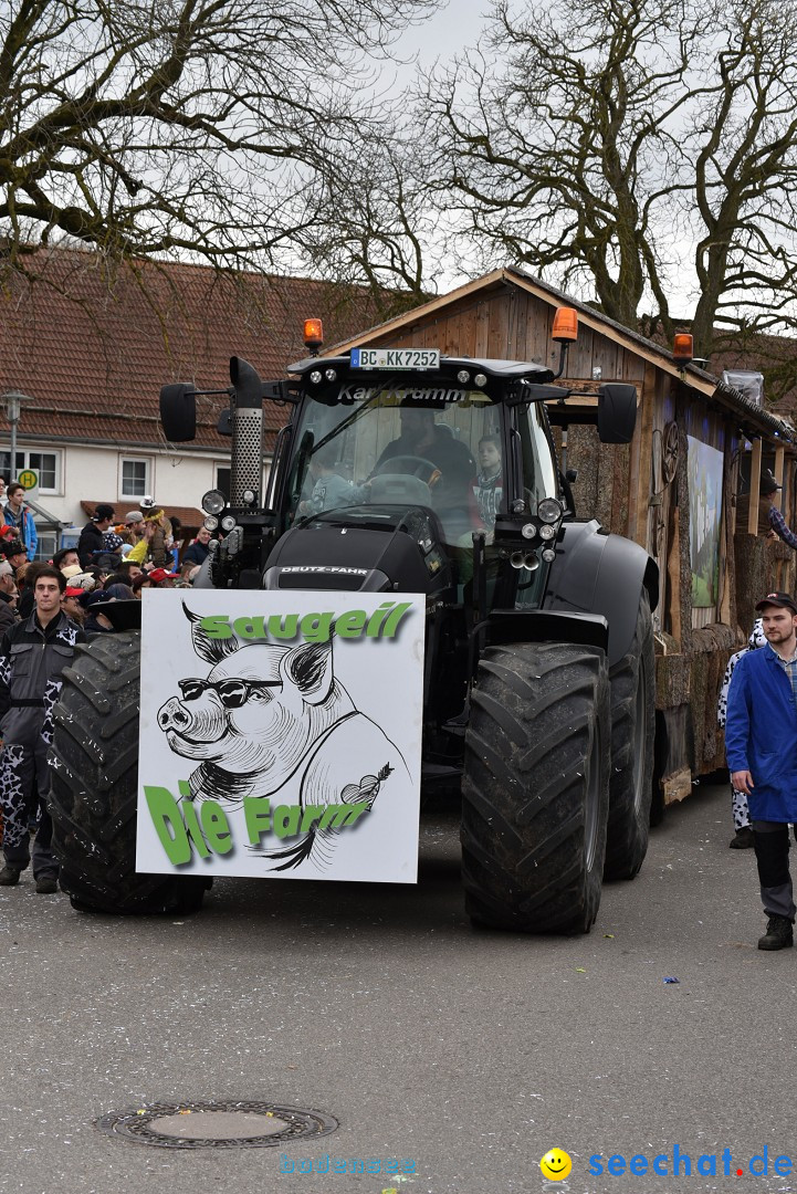 Fasnetsumzug: Zell - Rot an der Rot, 02.03.2019