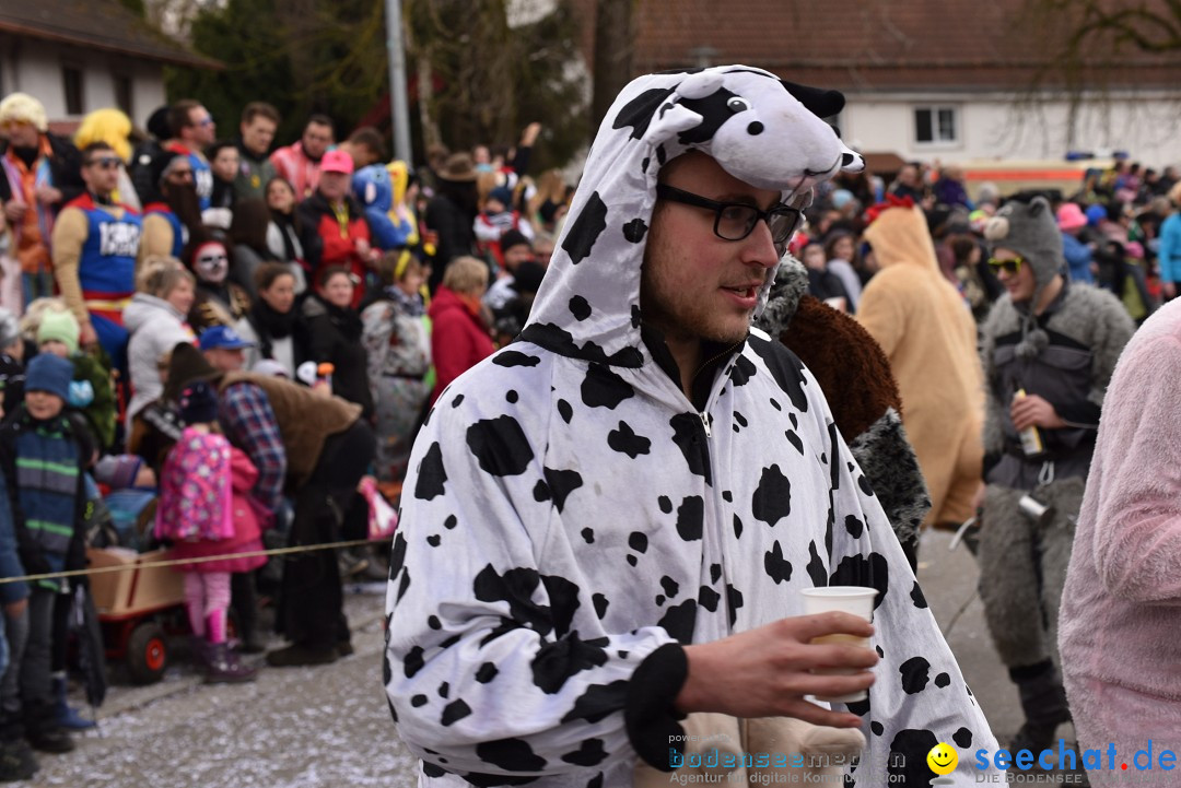 Fasnetsumzug: Zell - Rot an der Rot, 02.03.2019