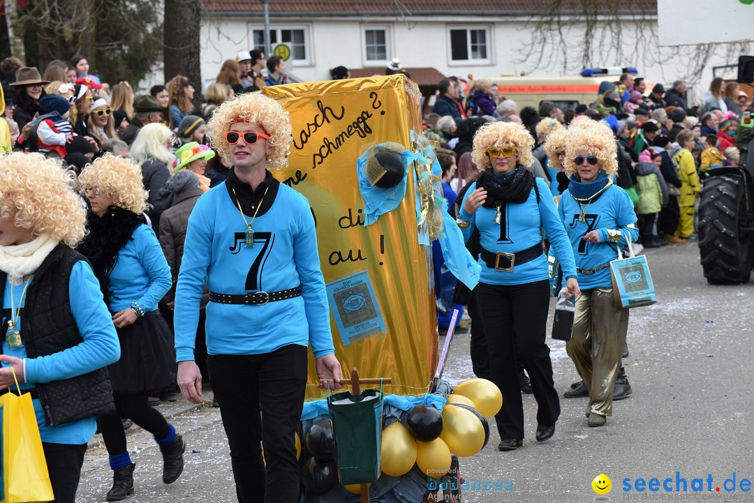 Fasnetsumzug: Zell - Rot an der Rot, 02.03.2019