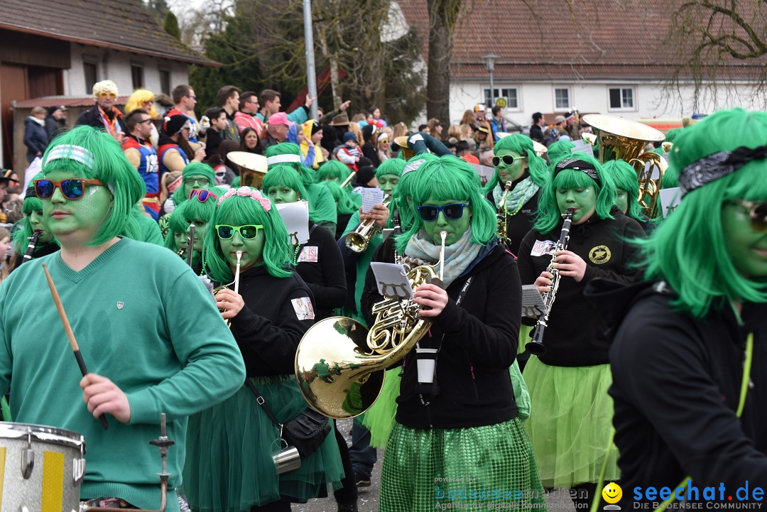 Fasnetsumzug: Zell - Rot an der Rot, 02.03.2019