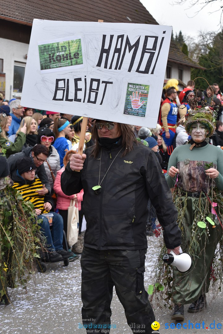 Fasnetsumzug: Zell - Rot an der Rot, 02.03.2019