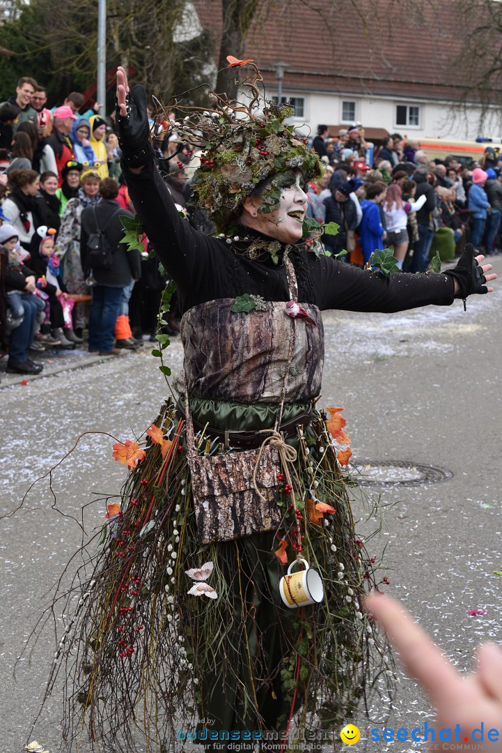 Fasnetsumzug: Zell - Rot an der Rot, 02.03.2019