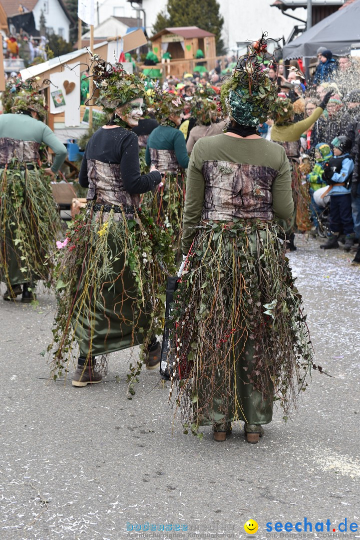 Fasnetsumzug: Zell - Rot an der Rot, 02.03.2019