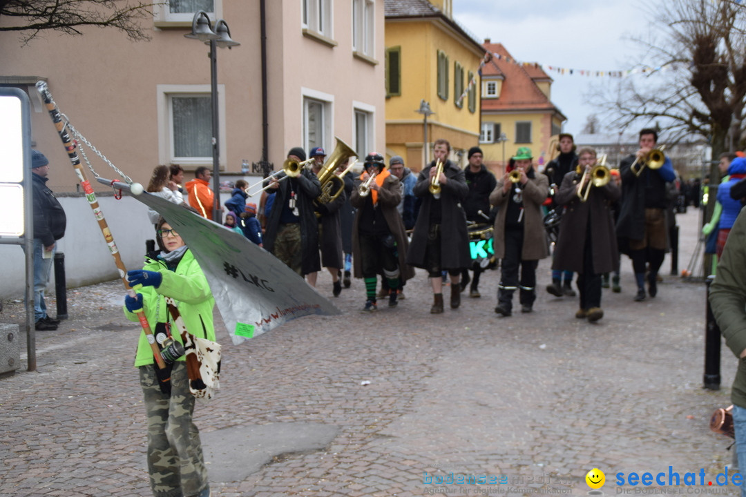 Fasnetsumzug - Fasching: Tettnang am Bodensee, 05.03.2019