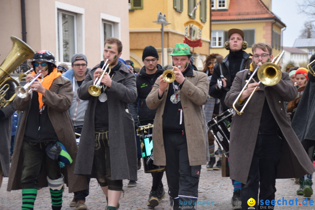 Fasnetsumzug - Fasching: Tettnang am Bodensee, 05.03.2019