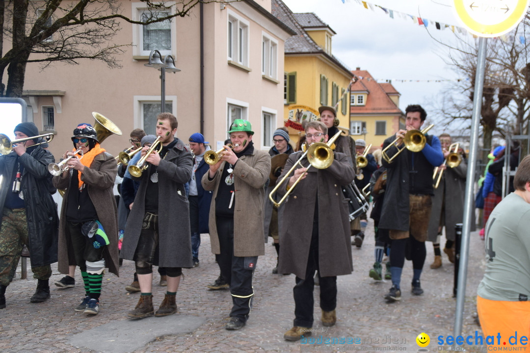 Fasnetsumzug - Fasching: Tettnang am Bodensee, 05.03.2019