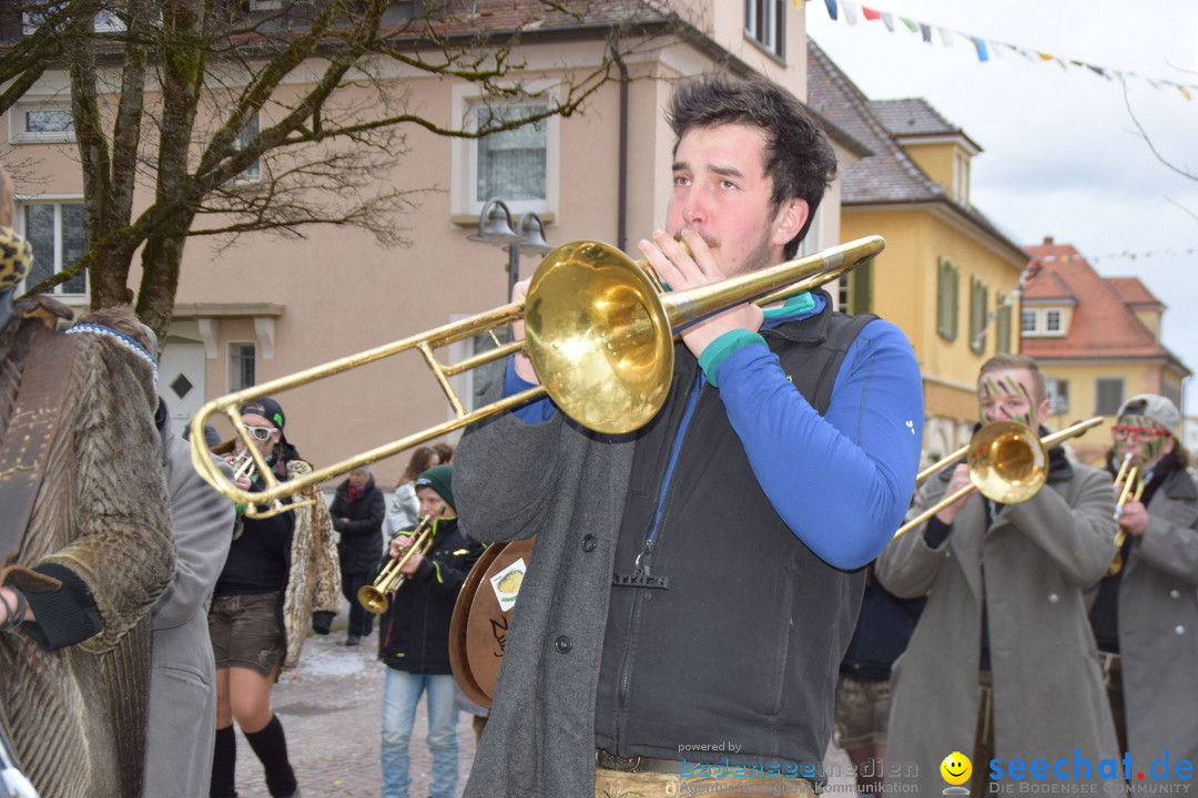 Fasnetsumzug - Fasching: Tettnang am Bodensee, 05.03.2019