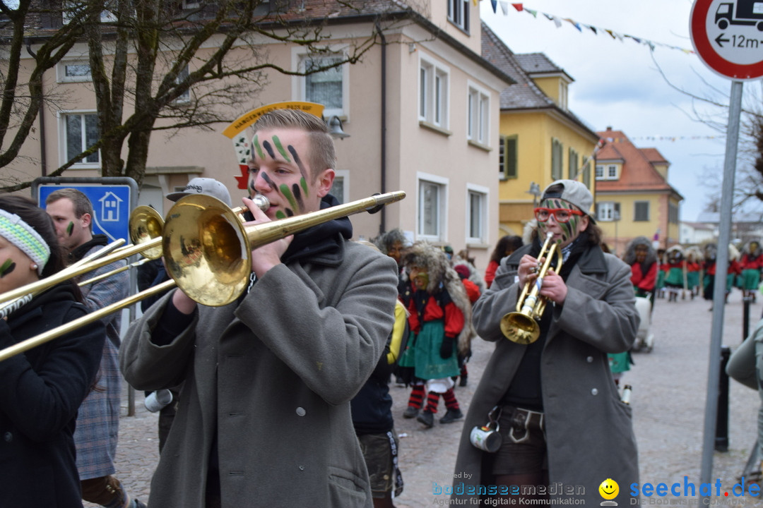 Fasnetsumzug - Fasching: Tettnang am Bodensee, 05.03.2019