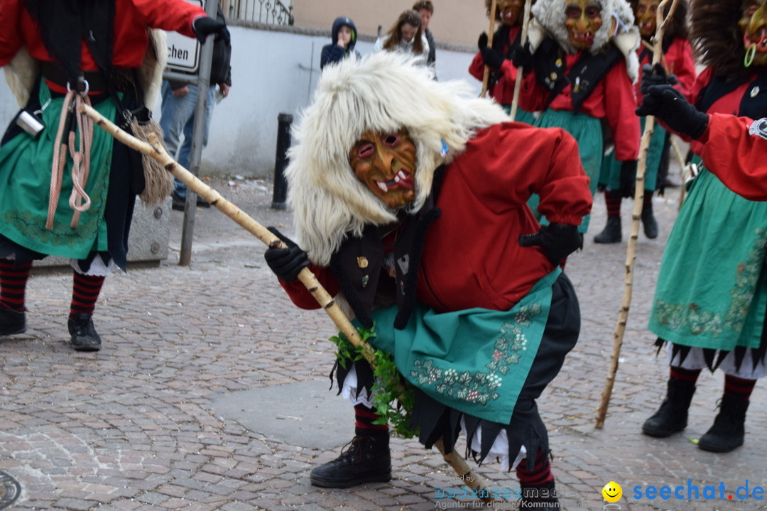 Fasnetsumzug - Fasching: Tettnang am Bodensee, 05.03.2019