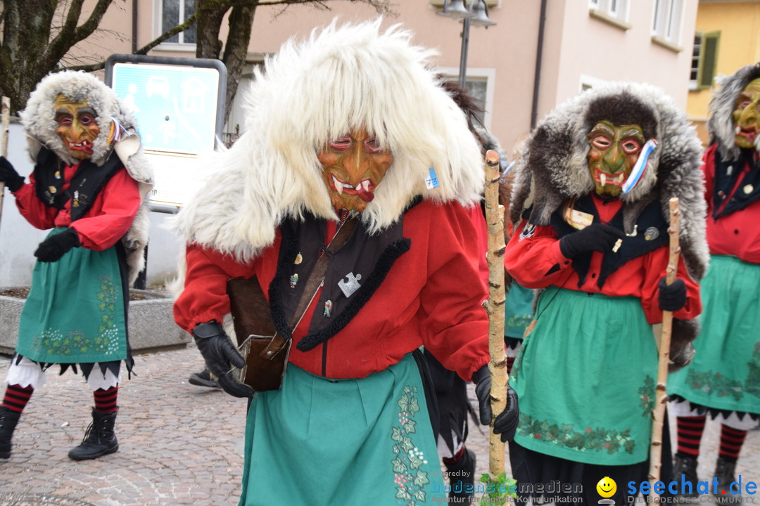 Fasnetsumzug - Fasching: Tettnang am Bodensee, 05.03.2019