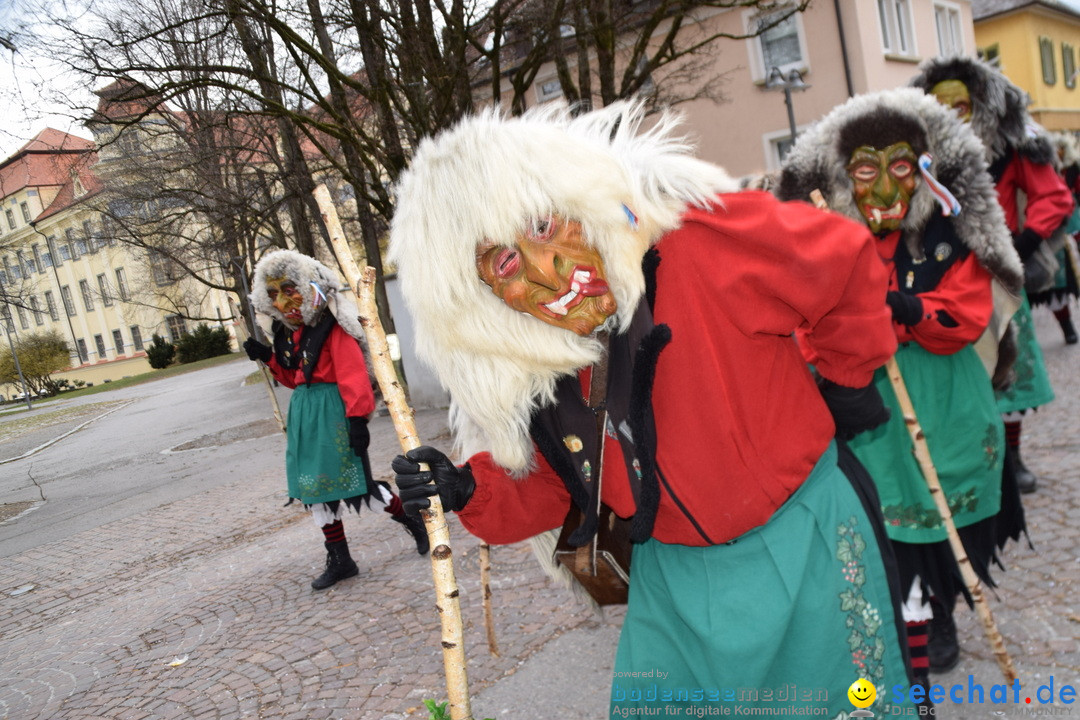 Fasnetsumzug - Fasching: Tettnang am Bodensee, 05.03.2019