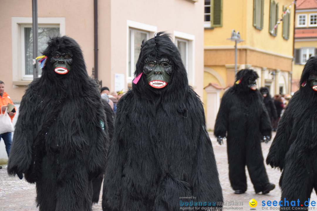 Fasnetsumzug - Fasching: Tettnang am Bodensee, 05.03.2019