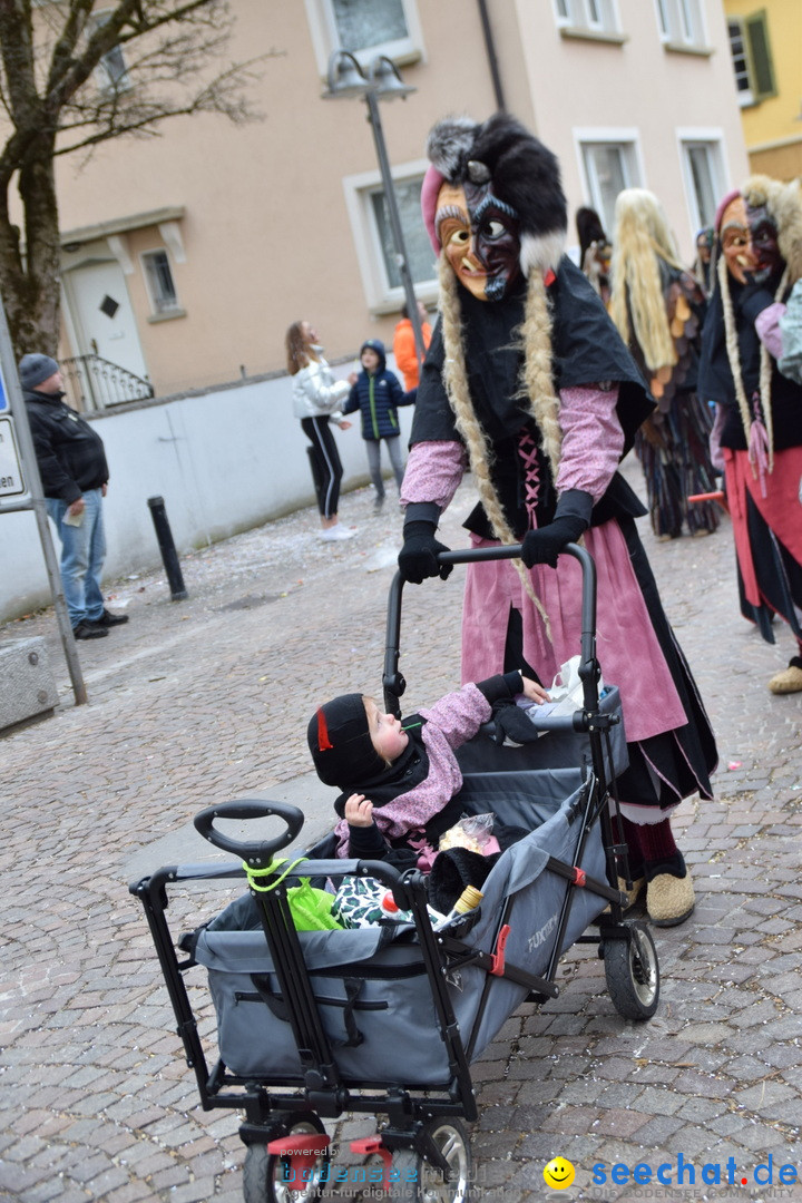 Fasnetsumzug - Fasching: Tettnang am Bodensee, 05.03.2019