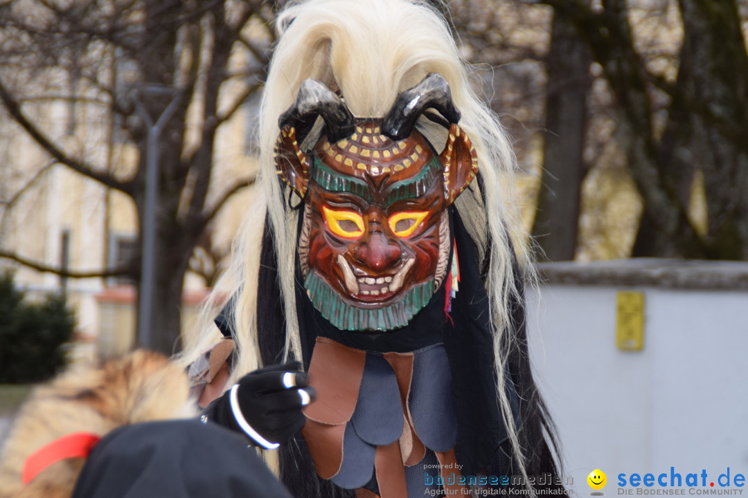 Fasnetsumzug - Fasching: Tettnang am Bodensee, 05.03.2019