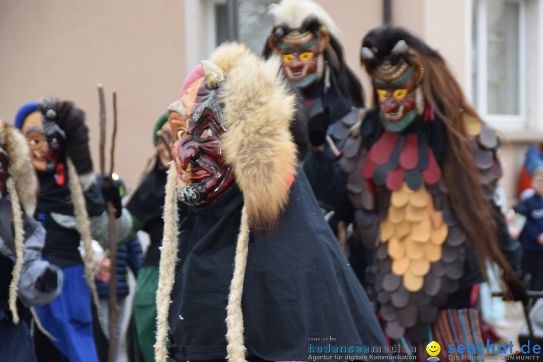 Fasnetsumzug - Fasching: Tettnang am Bodensee, 05.03.2019