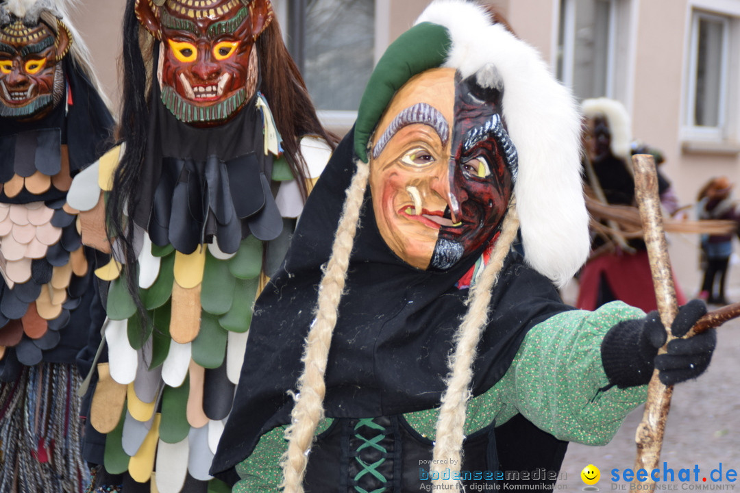 Fasnetsumzug - Fasching: Tettnang am Bodensee, 05.03.2019