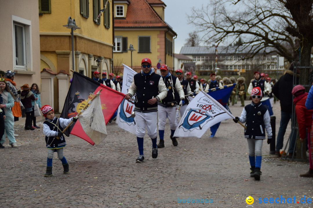 Fasnetsumzug - Fasching: Tettnang am Bodensee, 05.03.2019