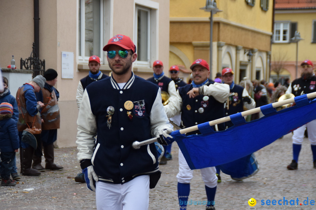 Fasnetsumzug - Fasching: Tettnang am Bodensee, 05.03.2019