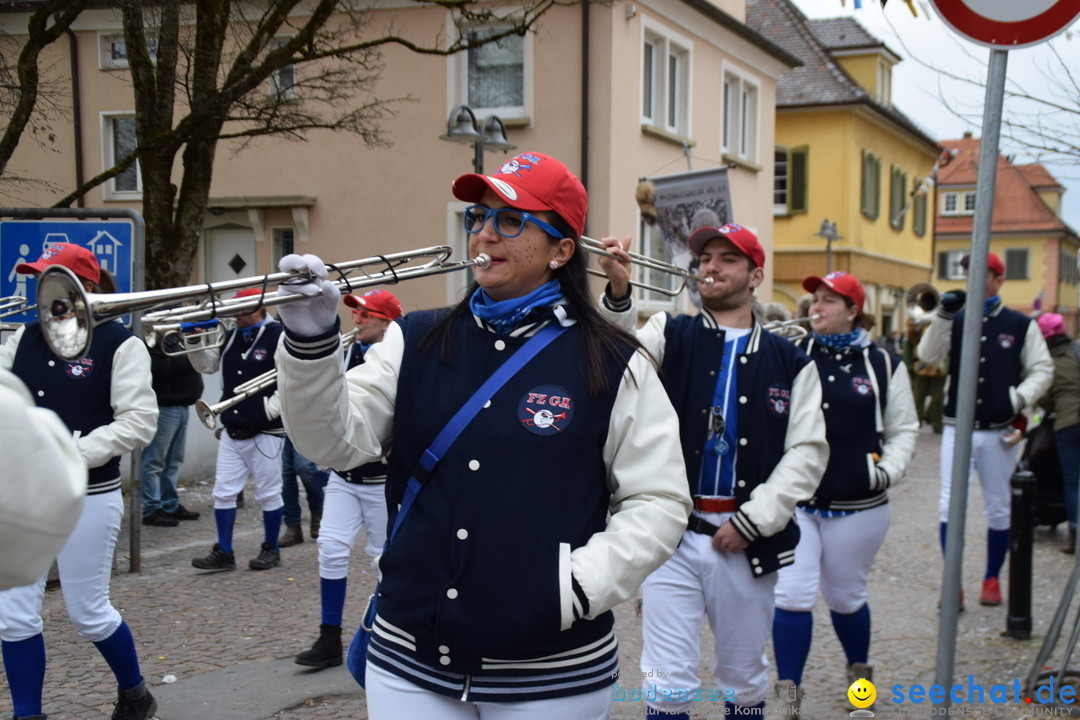 Fasnetsumzug - Fasching: Tettnang am Bodensee, 05.03.2019