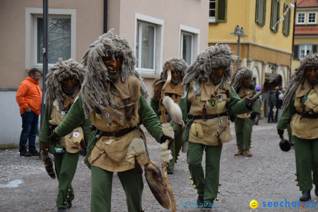 Fasnetsumzug - Fasching: Tettnang am Bodensee, 05.03.2019