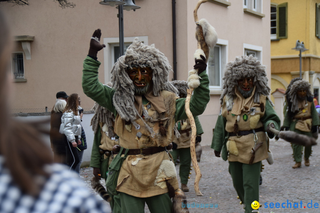 Fasnetsumzug - Fasching: Tettnang am Bodensee, 05.03.2019