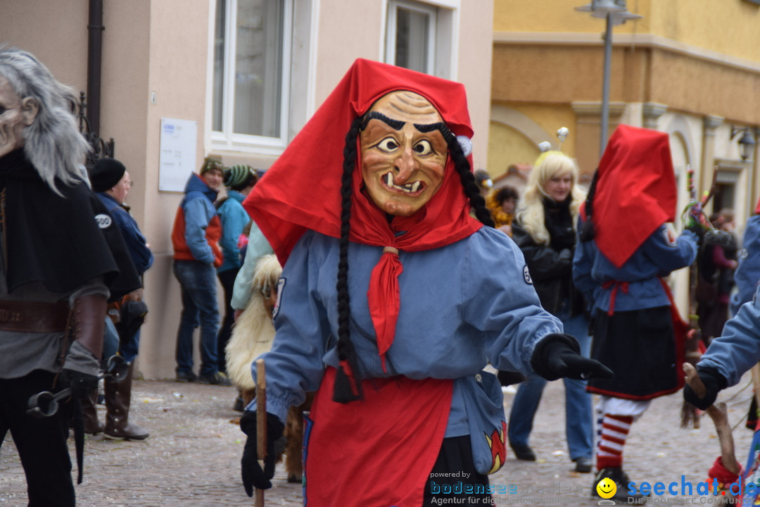 Fasnetsumzug - Fasching: Tettnang am Bodensee, 05.03.2019