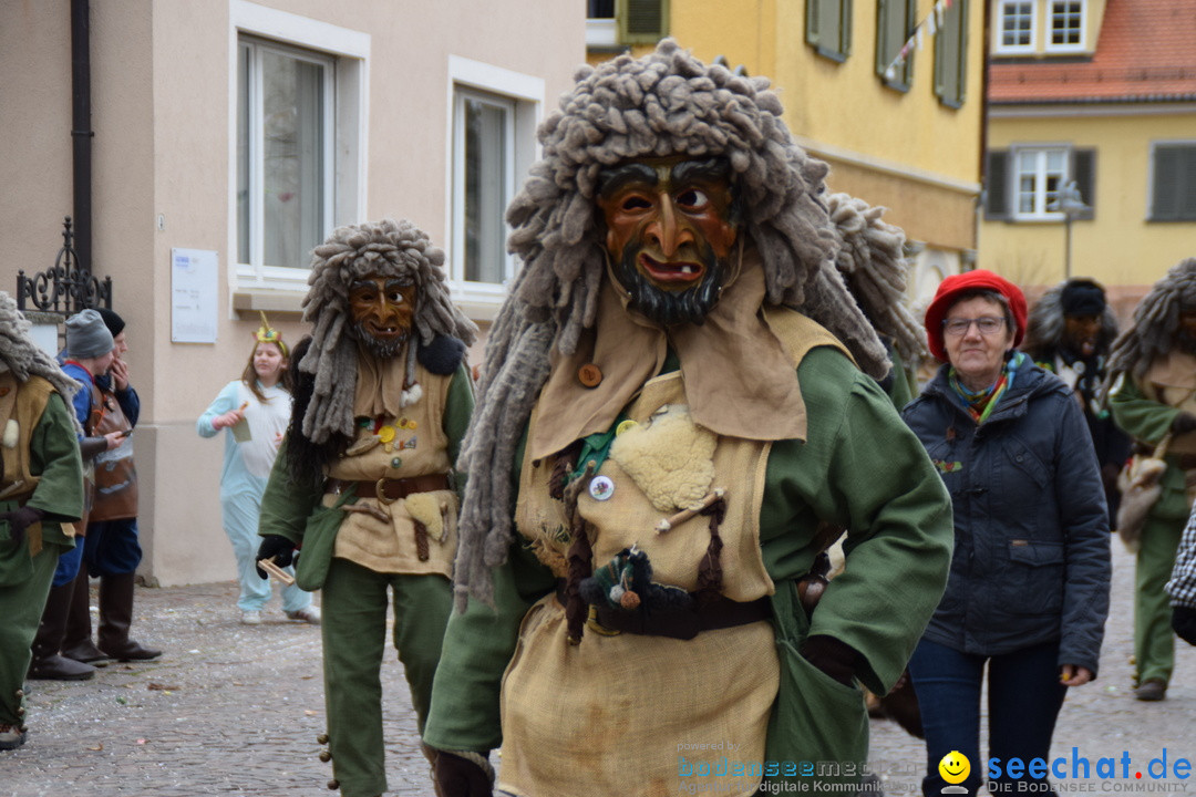 Fasnetsumzug - Fasching: Tettnang am Bodensee, 05.03.2019