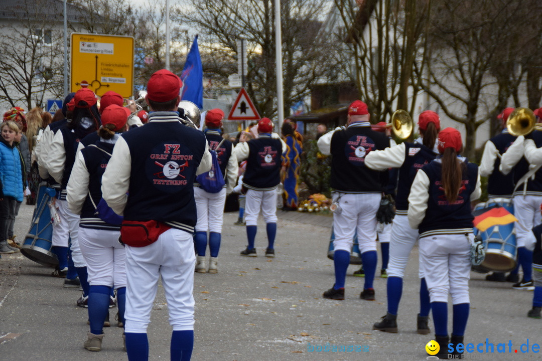 Fasnetsumzug - Fasching: Tettnang am Bodensee, 05.03.2019