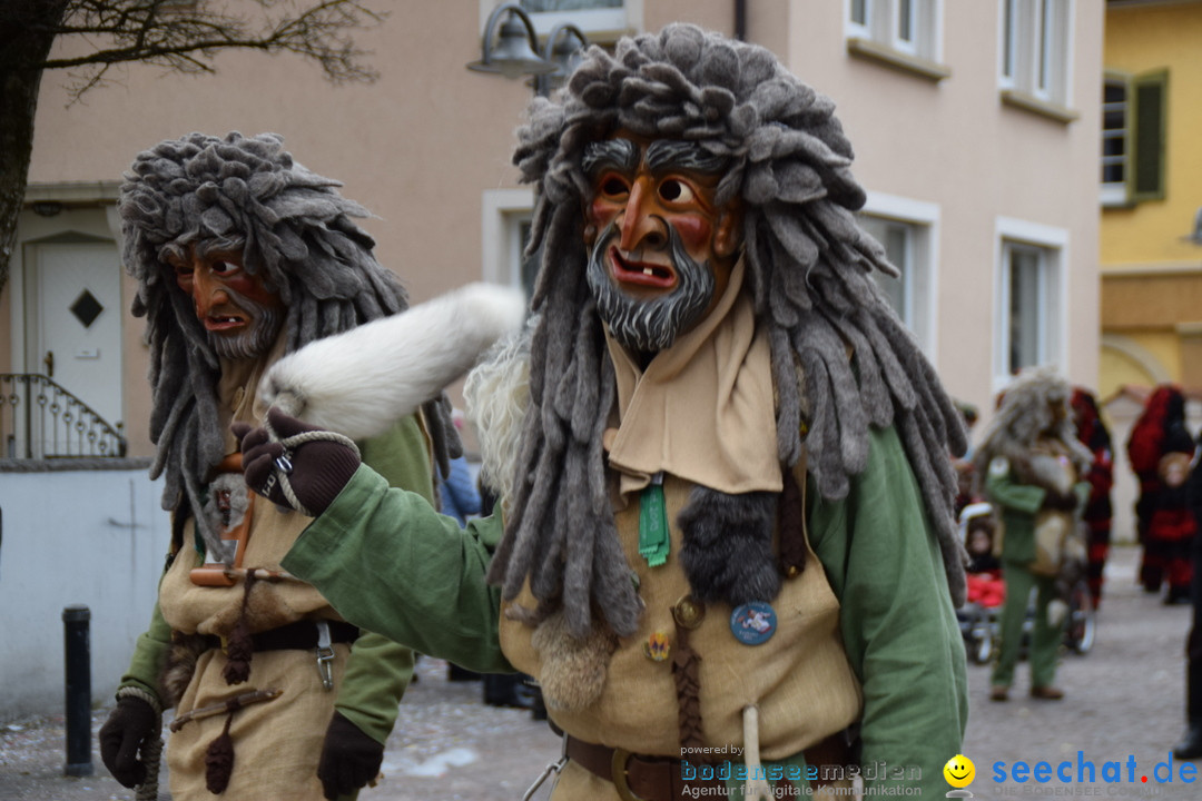 Fasnetsumzug - Fasching: Tettnang am Bodensee, 05.03.2019