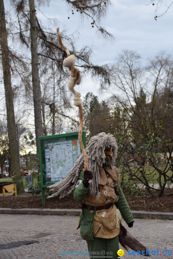 Fasnetsumzug - Fasching: Tettnang am Bodensee, 05.03.2019