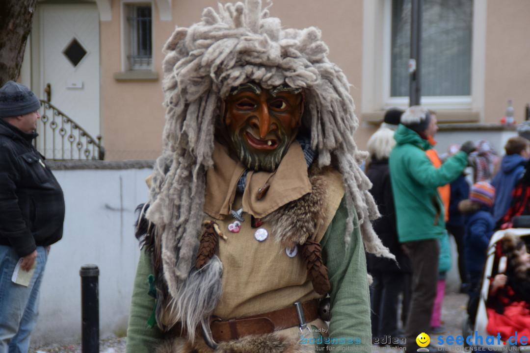 Fasnetsumzug - Fasching: Tettnang am Bodensee, 05.03.2019