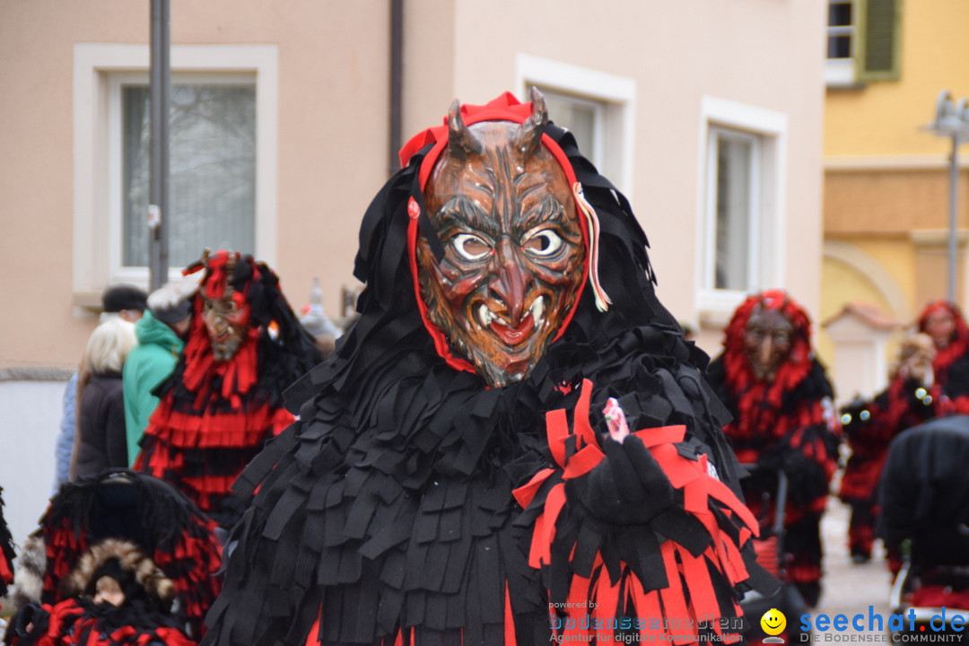 Fasnetsumzug - Fasching: Tettnang am Bodensee, 05.03.2019