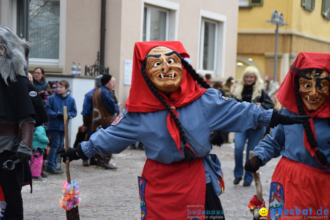 Fasnetsumzug - Fasching: Tettnang am Bodensee, 05.03.2019