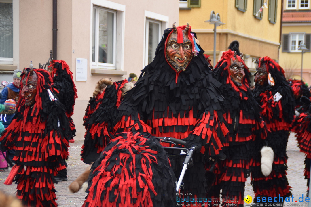 Fasnetsumzug - Fasching: Tettnang am Bodensee, 05.03.2019