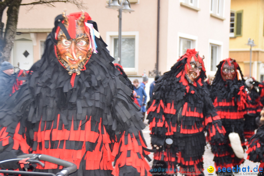 Fasnetsumzug - Fasching: Tettnang am Bodensee, 05.03.2019