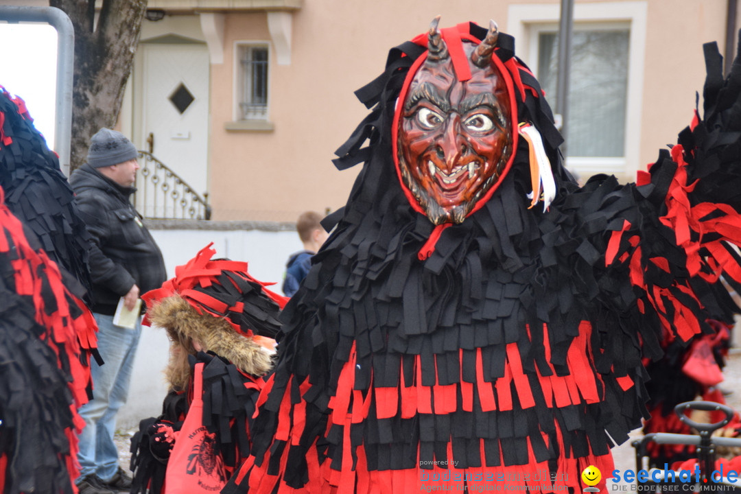 Fasnetsumzug - Fasching: Tettnang am Bodensee, 05.03.2019